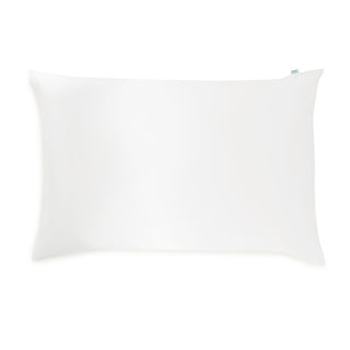 Queen Envelope Pillowcase - Premium Silver-Infused Silk with Clinically Proven Benefits - Brightly Labs®